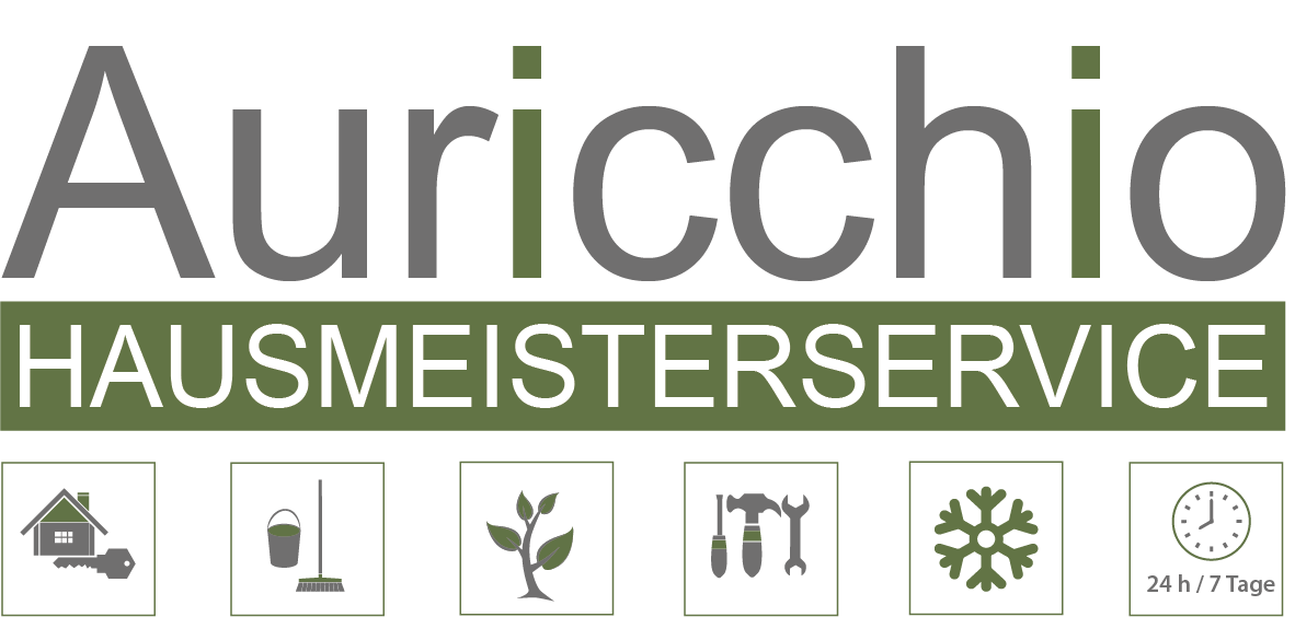 Auricchio Logo Final